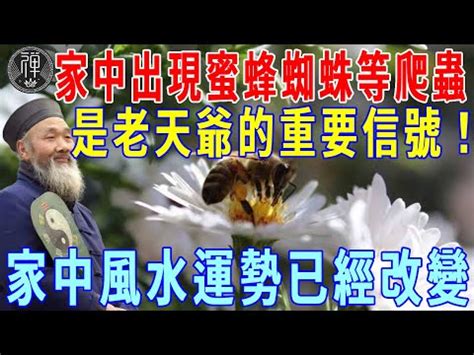 蜂窩風水|【家裡有土蜂窩】家裡有土蜂窩？6大風水優勢曝光，好運財運擋。